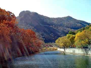 新澳天天开奖资料大全旅游团，西门子上海办事处